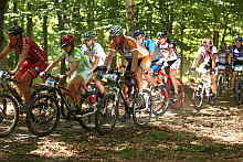 Karlovarský AM bikemaraton 2012 Karlovarský AM bikemaraton 2012